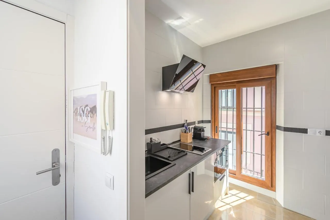 Isg Apartments Zaragoza-Free Parking Seville Spain