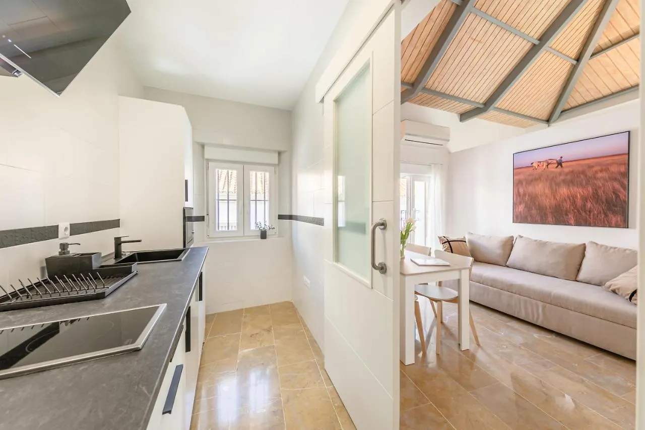 Isg Apartments Zaragoza-Free Parking Seville